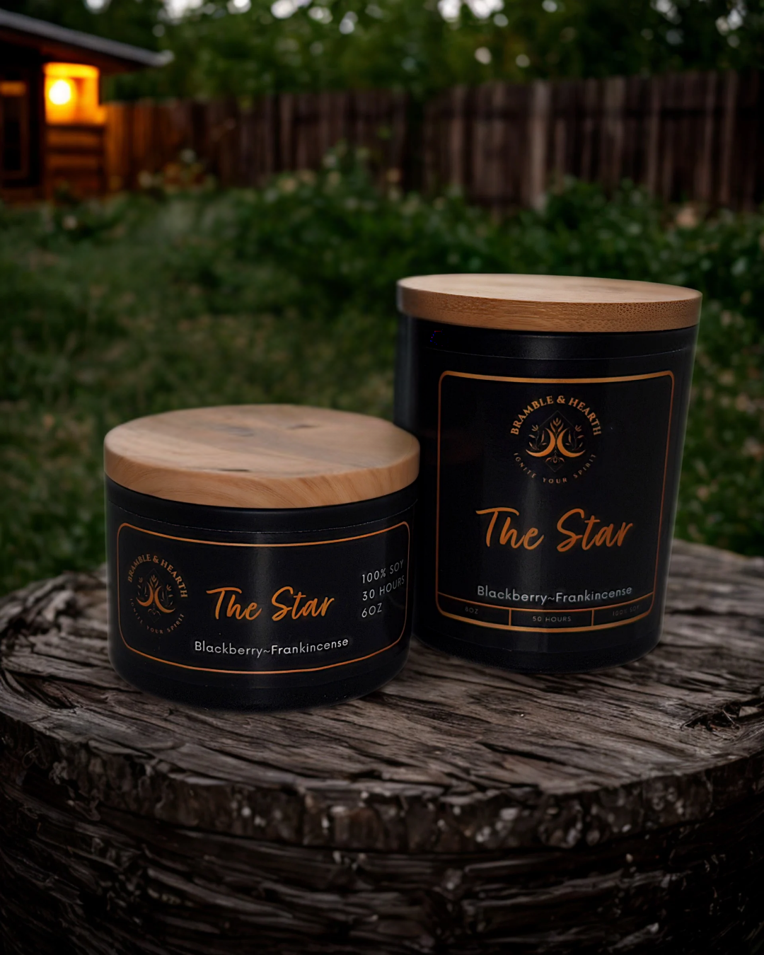 The Star – Illuminate Your Space with Enchantment