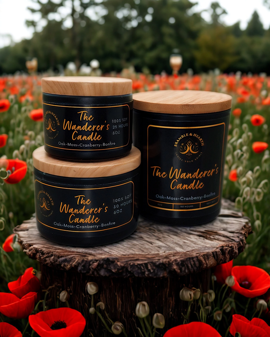 The Wanderer's Candle – Adventure Awaits in Every Flame