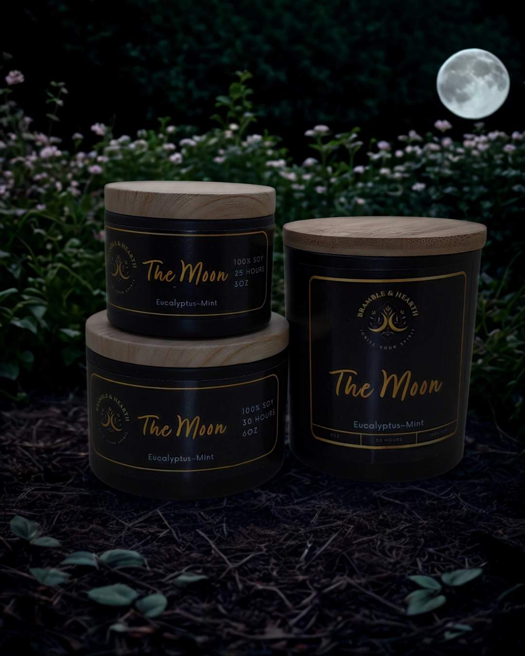 The Moon – Breathe In Calm, Exhale the Chaos