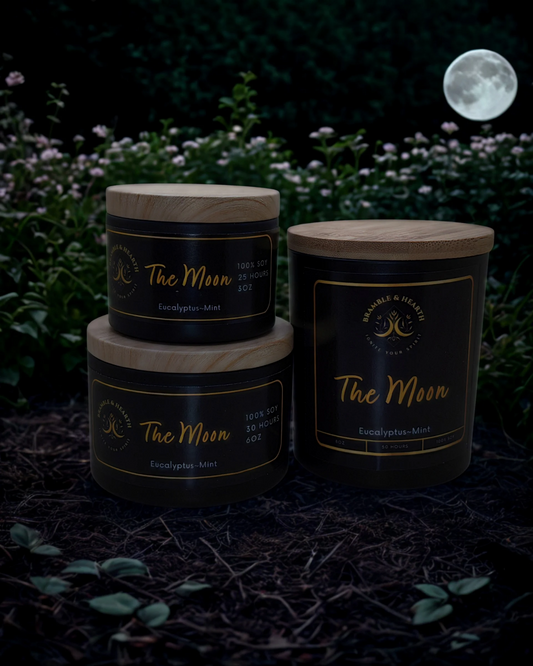 The Moon – Breathe In Calm, Exhale the Chaos