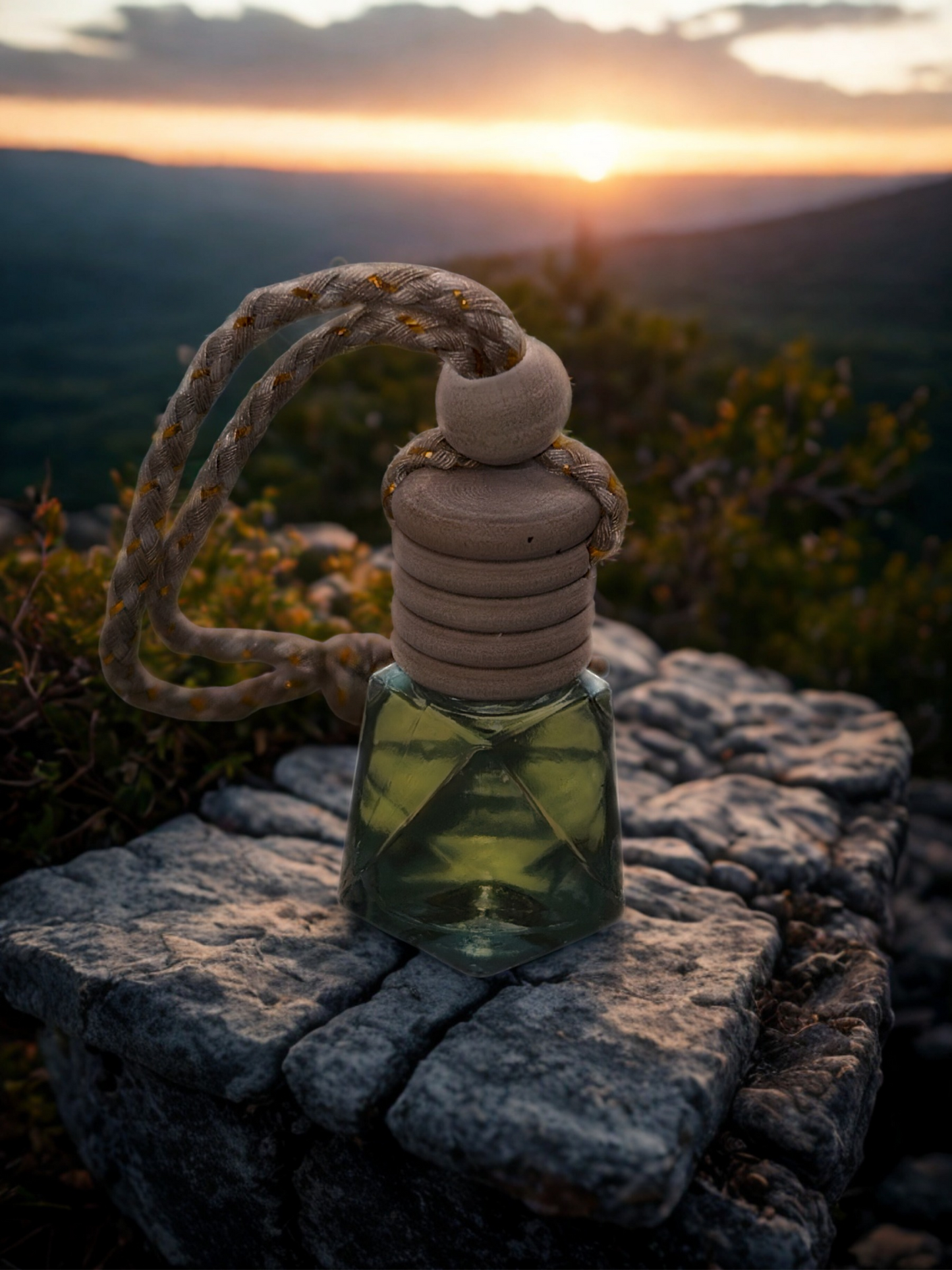The Wanderer-Car Diffuser
