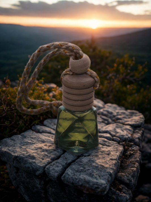 The Wanderer-Car Diffuser